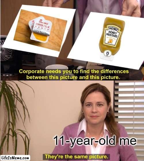 Honey Mustard and Chick-fil-A sauce |  11-year-old me | image tagged in memes,they're the same picture | made w/ Lifeismeme meme maker