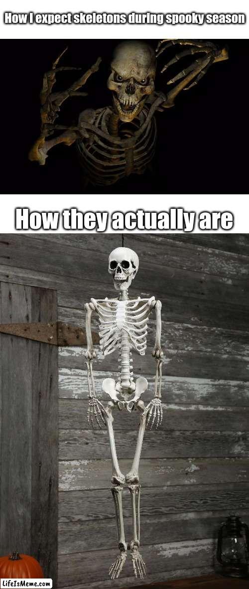 Ruined my hopes and dreams |  How I expect skeletons during spooky season; How they actually are | image tagged in skeleton,spooky scary skeleton,halloween | made w/ Lifeismeme meme maker