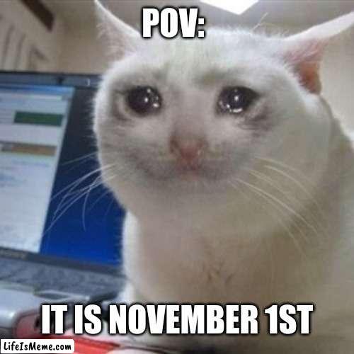 Press F for Respect |  POV:; IT IS NOVEMBER 1ST | image tagged in crying cat | made w/ Lifeismeme meme maker