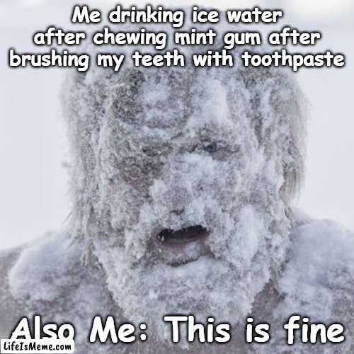 Its True And Relatable!! |  Me drinking ice water after chewing mint gum after brushing my teeth with toothpaste; Also Me: This is fine | image tagged in freezing cold,fun,relatable,funny,frozen,stone cold | made w/ Lifeismeme meme maker