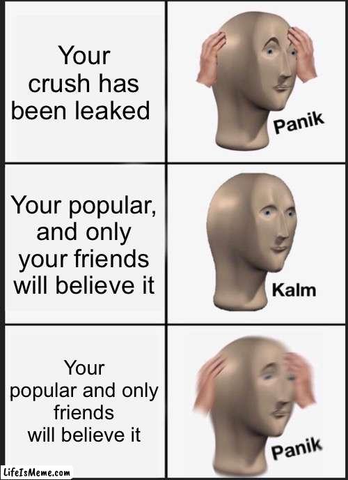 *pAnIcS* |  Your crush has been leaked; Your popular, and only your friends will believe it; Your popular and only friends will believe it | image tagged in memes,panik kalm panik | made w/ Lifeismeme meme maker