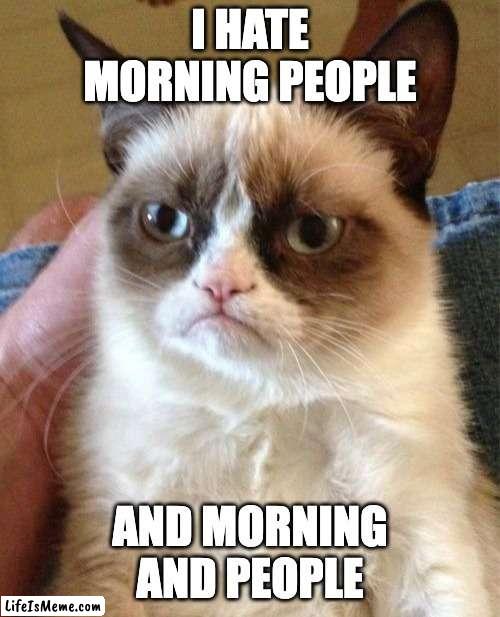 i hate morning people |  I HATE MORNING PEOPLE; AND MORNING
AND PEOPLE | image tagged in memes,grumpy cat,morning,morning people,people,hate | made w/ Lifeismeme meme maker