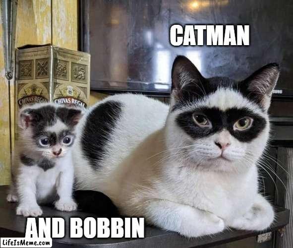 Catman & Bobbin |  CATMAN; AND BOBBIN | image tagged in catman,kitten,cat,mask | made w/ Lifeismeme meme maker