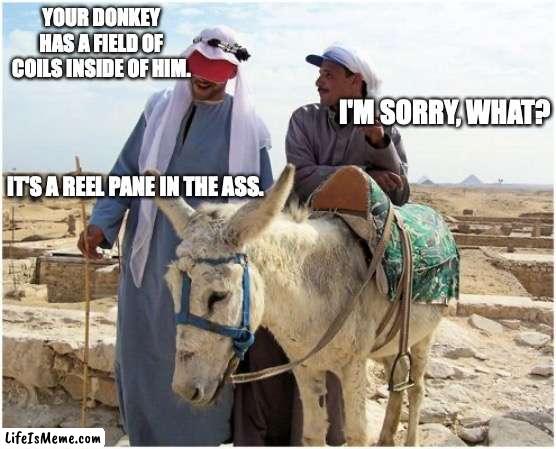 Reel Pane In The Ass |  YOUR DONKEY HAS A FIELD OF COILS INSIDE OF HIM. I'M SORRY, WHAT? IT'S A REEL PANE IN THE ASS. | image tagged in donkey talk,puns | made w/ Lifeismeme meme maker