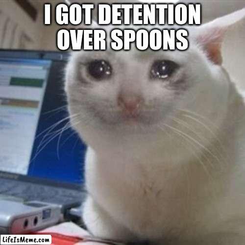 mega bruh |  I GOT DETENTION OVER SPOONS | image tagged in crying cat | made w/ Lifeismeme meme maker