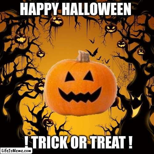 happy halloween my guys |  HAPPY HALLOWEEN; ! TRICK OR TREAT ! | image tagged in halloween | made w/ Lifeismeme meme maker