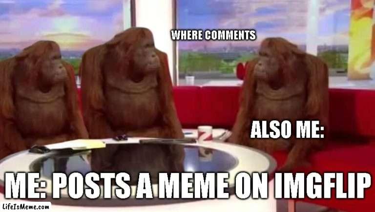 Where comments |  WHERE COMMENTS; ALSO ME:; ME: POSTS A MEME ON IMGFLIP | image tagged in where monkey | made w/ Lifeismeme meme maker
