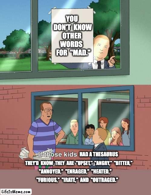 Other words for "mad" |  YOU  DON'T  KNOW  OTHER    WORDS     FOR  "MAD."; HAD A THESAURUS; THEY'D  KNOW  THEY  ARE  "UPSET,"  "ANGRY,"  "BITTER,"; "ANNOYED,"  "ENRAGED,"  "HEATED,"; "FURIOUS,"  "IRATE,"  AND  "OUTRAGED." | image tagged in if those kids could read they'd be very upset | made w/ Lifeismeme meme maker