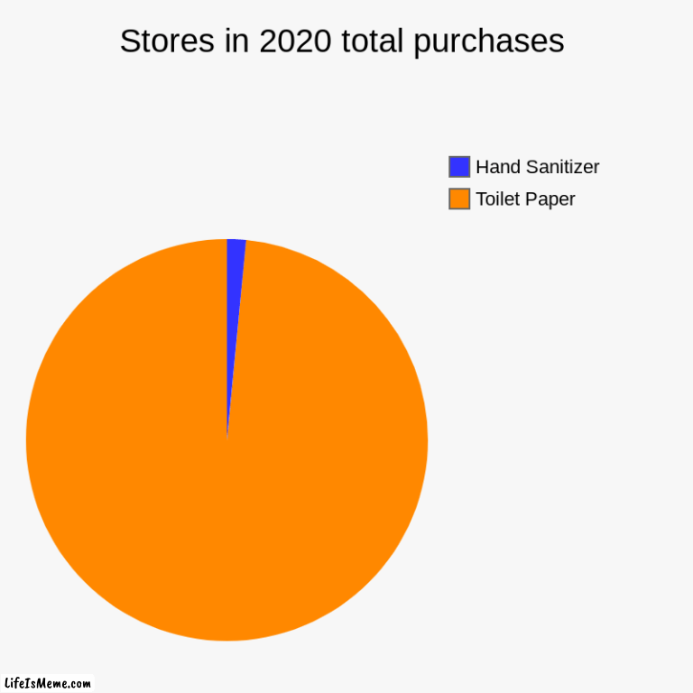 No one needs that much toilet paper | Stores in 2020 total purchases | Toilet Paper, Hand Sanitizer | image tagged in charts,pie charts,2020 | made w/ Lifeismeme chart maker