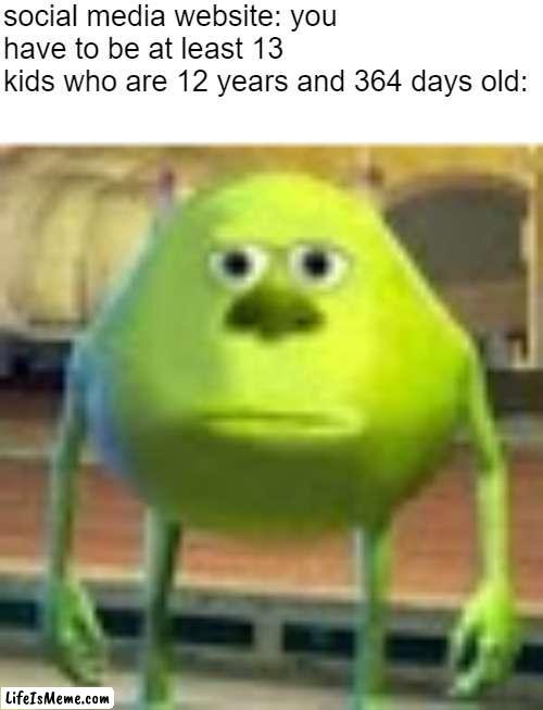 one... more... day... |  social media website: you have to be at least 13
kids who are 12 years and 364 days old: | image tagged in sully wazowski,social media | made w/ Lifeismeme meme maker