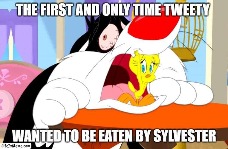 fun fact |  THE FIRST AND ONLY TIME TWEETY; WANTED TO BE EATEN BY SYLVESTER | image tagged in tweety wants to be eaten,sylvester the cat,tweety bird,looney tunes,warner bros,cartoons | made w/ Lifeismeme meme maker