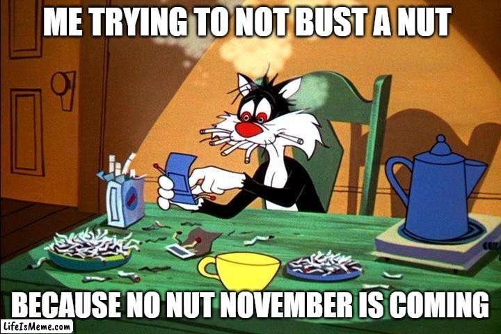 i know it's to early but it's just a joke |  ME TRYING TO NOT BUST A NUT; BECAUSE NO NUT NOVEMBER IS COMING | image tagged in sylvester the cat,looney tunes,warner bros,no nut november | made w/ Lifeismeme meme maker