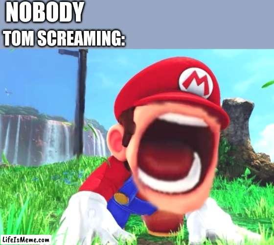 Everybody loves Tom's screams |  NOBODY; TOM SCREAMING: | image tagged in mario screaming,tom and jerry,warner bros,memes,mario | made w/ Lifeismeme meme maker