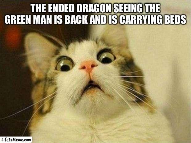 Ah crap here we go again |  THE ENDED DRAGON SEEING THE GREEN MAN IS BACK AND IS CARRYING BEDS | image tagged in memes,scared cat | made w/ Lifeismeme meme maker