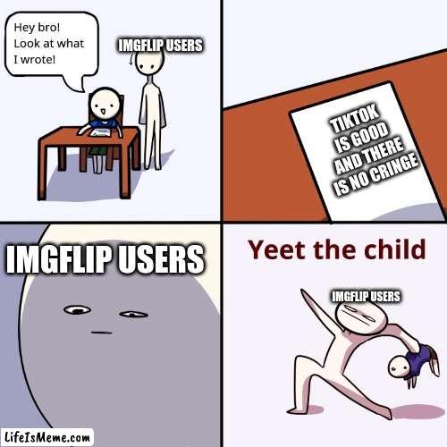 Again Another Tiktok Meme |  IMGFLIP USERS; TIKTOK IS GOOD AND THERE IS NO CRINGE; IMGFLIP USERS; IMGFLIP USERS | image tagged in yeet the child,tiktok,tiktok sucks,tiktok cringe,cringe,apps | made w/ Lifeismeme meme maker