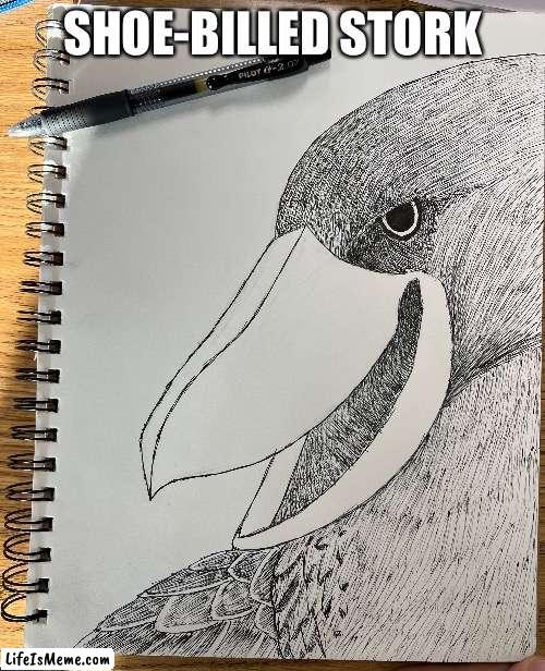Shoe-Billed Stork (fun stream posting) | See how I made it here https://imgflip.com/i/6wpvgn |  SHOE-BILLED STORK | image tagged in bird,art,drawing | made w/ Lifeismeme meme maker