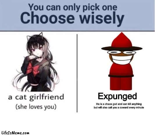 which one tho? hmmmmmm |  Expunged; He is a chaos god and can kill anything but will also call you a coward every minute | image tagged in choose wisely,fnf,dave and bambi,sus,gaming | made w/ Lifeismeme meme maker