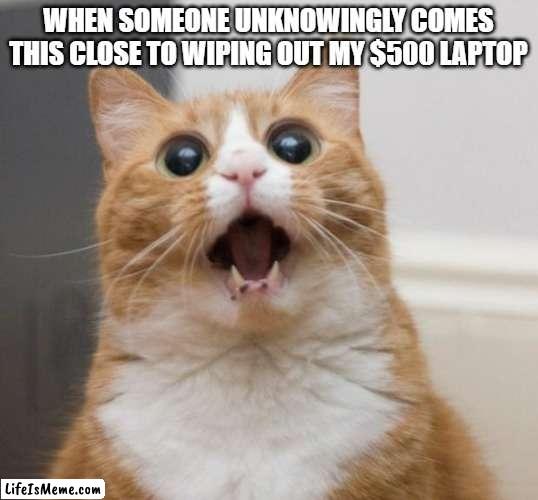 Well i mean i was 19 f**king years old when that happened someone nearly destroying that WAS I NOT |  WHEN SOMEONE UNKNOWINGLY COMES THIS CLOSE TO WIPING OUT MY $500 LAPTOP | image tagged in scared cat,memes,computer,relatable,idiot,excuses | made w/ Lifeismeme meme maker