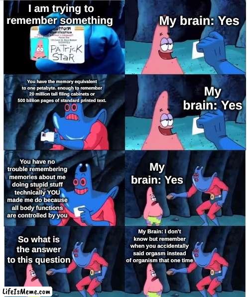 Me during a test. |  My brain: Yes; I am trying to remember something; You have the memory equivalent to one petabyte. enough to remember 20 million tall filing cabinets or 500 billion pages of standard printed text. My brain: Yes; You have no trouble remembering memories about me doing stupid stuff technically YOU made me do because all body functions are controlled by you; My brain: Yes; My Brain: I don't know but remember when you accidentally said orgasm instead of organism that one time; So what is the answer to this question | image tagged in patrick not my wallet | made w/ Lifeismeme meme maker