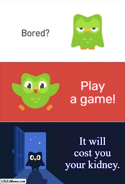 Sell it! |  Play a game! It will cost you your kidney. | image tagged in duolingo bored 3-panel | made w/ Lifeismeme meme maker