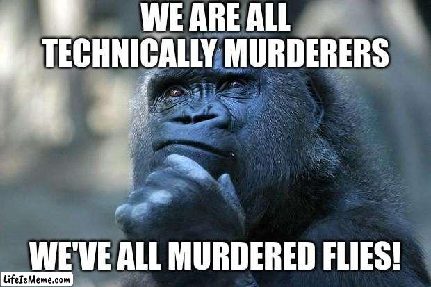 I'm a murderer |  WE ARE ALL TECHNICALLY MURDERERS; WE'VE ALL MURDERED FLIES! | image tagged in deep thoughts,murder,flies | made w/ Lifeismeme meme maker