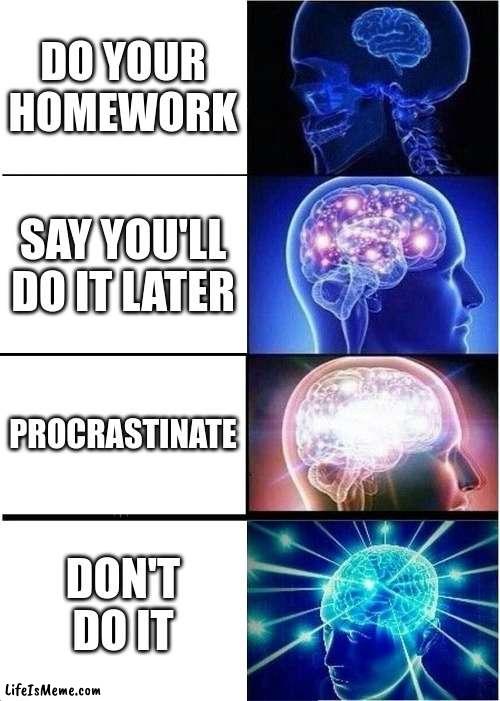 POV: you have ADHD |  DO YOUR HOMEWORK; SAY YOU'LL DO IT LATER; PROCRASTINATE; DON'T DO IT | image tagged in memes,expanding brain | made w/ Lifeismeme meme maker