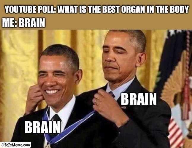 I like brain |  YOUTUBE POLL: WHAT IS THE BEST ORGAN IN THE BODY; ME: BRAIN; BRAIN; BRAIN | image tagged in obama medal | made w/ Lifeismeme meme maker