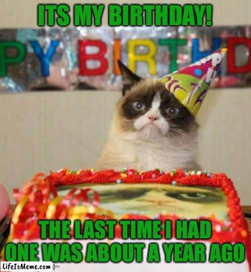 It's my B I R T H D A Y ! |  ITS MY BIRTHDAY! THE LAST TIME I HAD ONE WAS ABOUT A YEAR AGO | image tagged in memes,grumpy cat birthday,grumpy cat,happy birthday,birthday | made w/ Lifeismeme meme maker