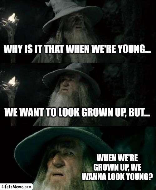 I've been thinking of this for days on end now :/ |  WHY IS IT THAT WHEN WE'RE YOUNG... WE WANT TO LOOK GROWN UP, BUT... WHEN WE'RE GROWN UP, WE WANNA LOOK YOUNG? | image tagged in memes,confused gandalf,shower thoughts,deep thoughts | made w/ Lifeismeme meme maker