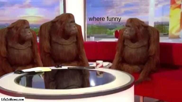 where da funny guys |  where funny | image tagged in where monkey | made w/ Lifeismeme meme maker