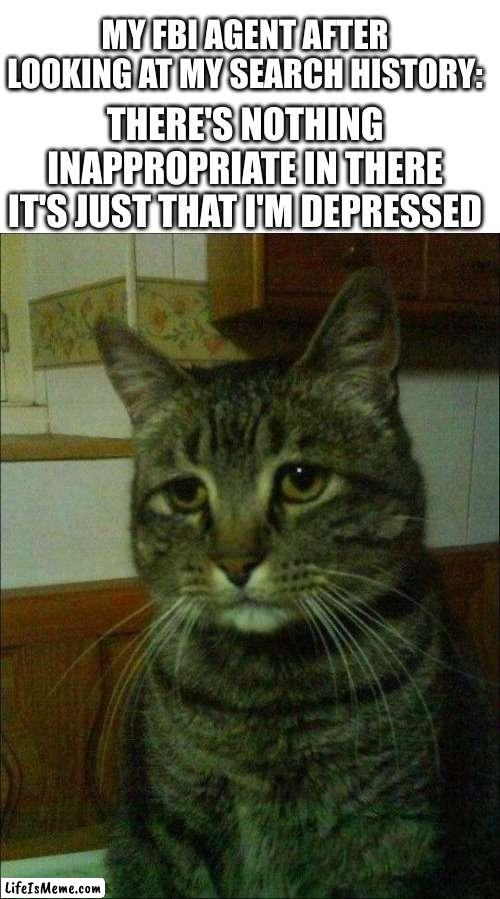 Depressed Cat Meme |  MY FBI AGENT AFTER LOOKING AT MY SEARCH HISTORY:; THERE'S NOTHING INAPPROPRIATE IN THERE IT'S JUST THAT I'M DEPRESSED | image tagged in memes,depressed cat,sad,relatable memes,depression | made w/ Lifeismeme meme maker