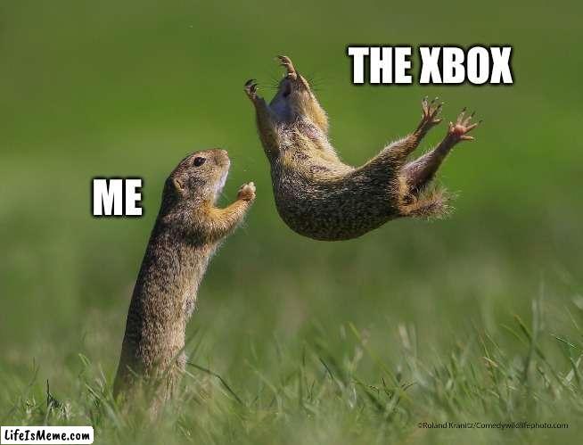 save the xbox |  THE XBOX; ME | image tagged in xbox,squirrel | made w/ Lifeismeme meme maker