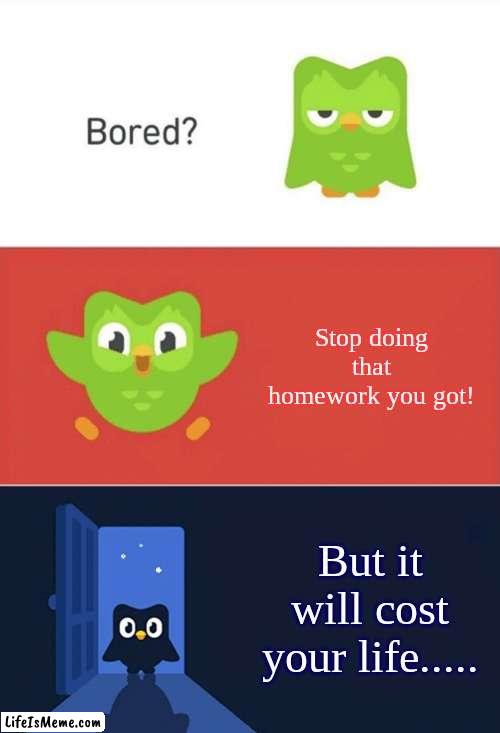 Should have done the homework! |  Stop doing that homework you got! But it will cost your life..... | image tagged in duolingo bored 3-panel,oh no,homework,school | made w/ Lifeismeme meme maker