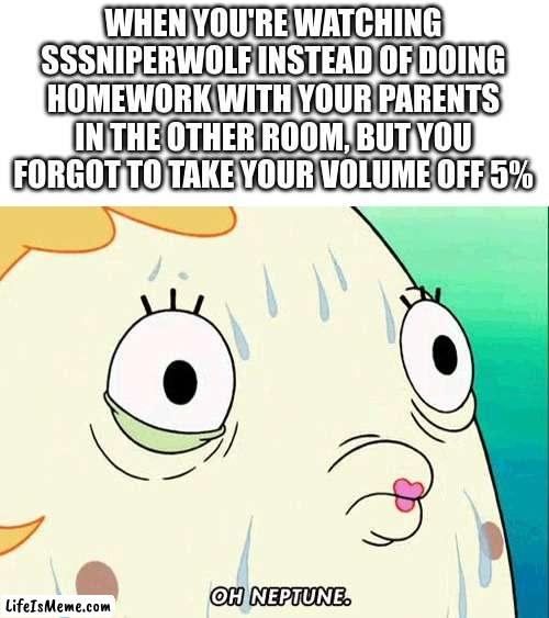 SSSniperwolf is loud and I speak from experience |  WHEN YOU'RE WATCHING SSSNIPERWOLF INSTEAD OF DOING HOMEWORK WITH YOUR PARENTS IN THE OTHER ROOM, BUT YOU FORGOT TO TAKE YOUR VOLUME OFF 5% | image tagged in mrs puff,homework | made w/ Lifeismeme meme maker