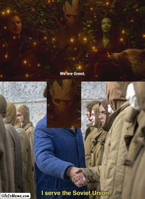 Soviet Groot Confirmed | image tagged in i serve the soviet union,marvel,memes | made w/ Lifeismeme meme maker