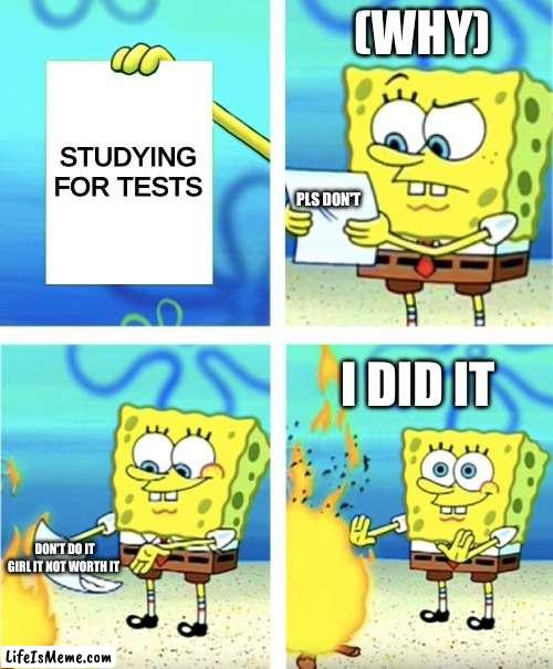 ......... |  (WHY); STUDYING FOR TESTS; PLS DON'T; I DID IT; DON'T DO IT GIRL IT NOT WORTH IT | image tagged in spongebob burning paper | made w/ Lifeismeme meme maker