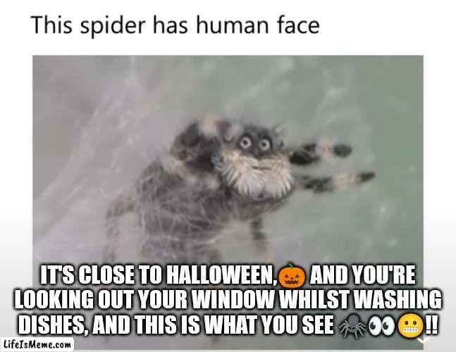 Spooky Spider |  IT'S CLOSE TO HALLOWEEN,🎃 AND YOU'RE LOOKING OUT YOUR WINDOW WHILST WASHING DISHES, AND THIS IS WHAT YOU SEE 🕷️👀😬!! | image tagged in spider,halloween | made w/ Lifeismeme meme maker
