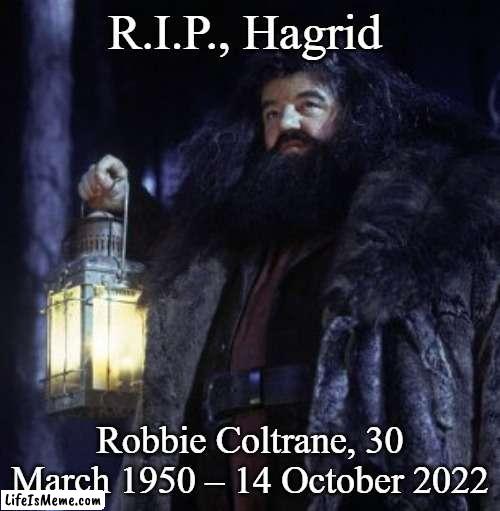 : ( |  R.I.P., Hagrid; Robbie Coltrane, 30 March 1950 – 14 October 2022 | image tagged in hagrid | made w/ Lifeismeme meme maker