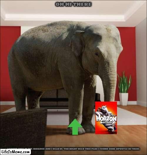 friendly elephant |  OH HI THERE; I FOUND THIS IN THE MAILBOX AND I BELIEVE YOU MIGHT NEED THIS PLUS I FOUND SOME UPVOTES IN THERE | image tagged in elephant in the room,upvotes,elephants,movies | made w/ Lifeismeme meme maker