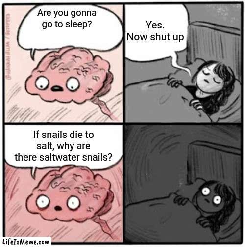 Meme #141 |  Yes. Now shut up; Are you gonna go to sleep? If snails die to salt, why are there saltwater snails? | image tagged in brain before sleep,snail,questions,brain,sleep,wait what | made w/ Lifeismeme meme maker