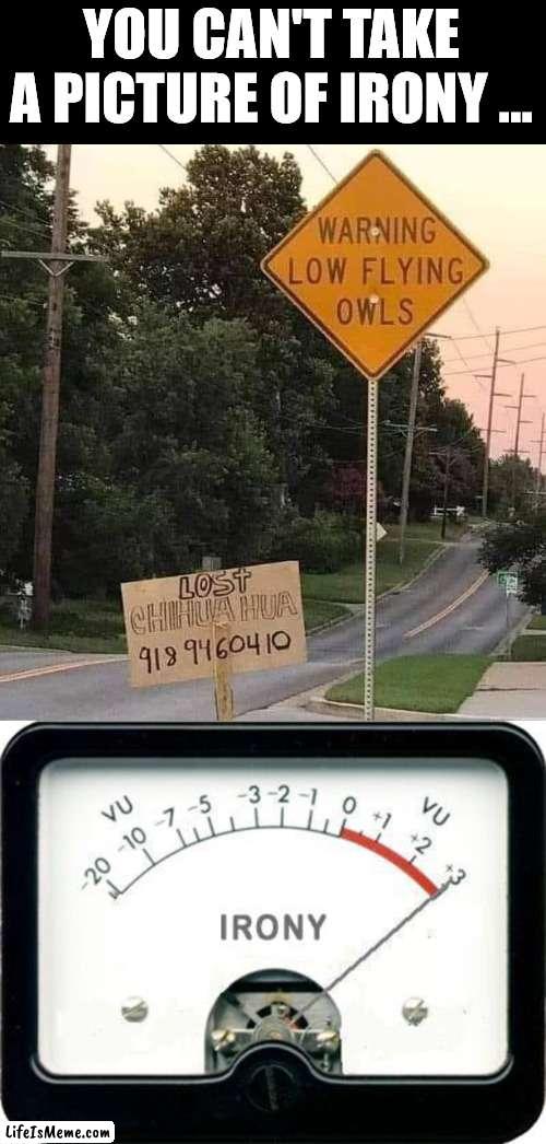 Can you figure it out? |  YOU CAN'T TAKE A PICTURE OF IRONY ... | image tagged in irony meter,funny signs,lost,owls,obvious | made w/ Lifeismeme meme maker