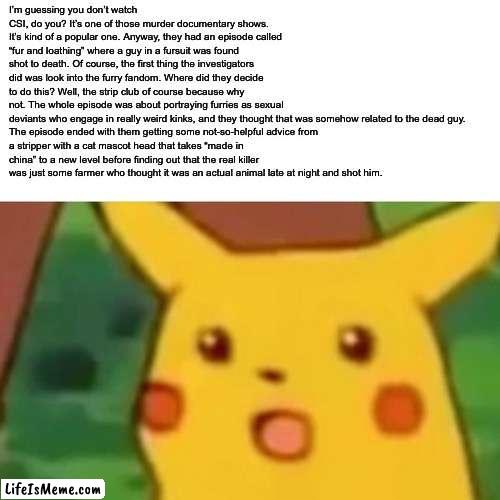 NO. NO |  I’m guessing you don’t watch CSI, do you? It’s one of those murder documentary shows. It’s kind of a popular one. Anyway, they had an episode called “fur and loathing” where a guy in a fursuit was found shot to death. Of course, the first thing the investigators did was look into the furry fandom. Where did they decide to do this? Well, the strip club of course because why not. The whole episode was about portraying furries as sexual deviants who engage in really weird kinks, and they thought that was somehow related to the dead guy.

The episode ended with them getting some not-so-helpful advice from a stripper with a cat mascot head that takes “made in china” to a new level before finding out that the real killer was just some farmer who thought it was an actual animal late at night and shot him. | image tagged in memes,surprised pikachu | made w/ Lifeismeme meme maker