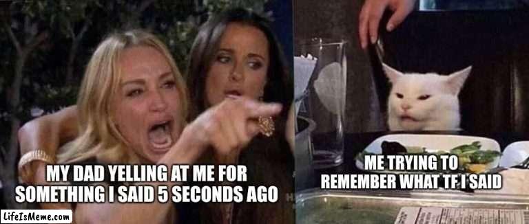 Demarcus denitrifis the 3rd |  ME TRYING TO REMEMBER WHAT TF I SAID; MY DAD YELLING AT ME FOR SOMETHING I SAID 5 SECONDS AGO | image tagged in woman yelling at cat | made w/ Lifeismeme meme maker