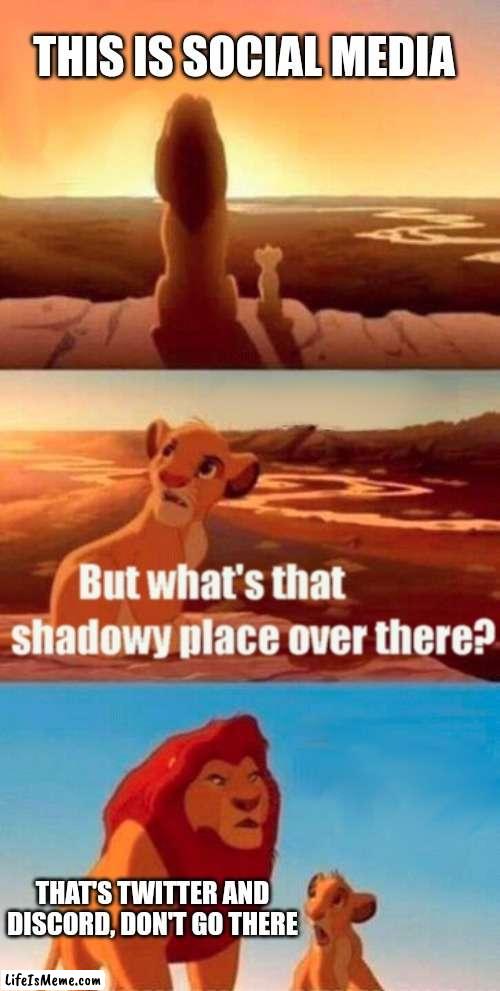 Social media be like |  THIS IS SOCIAL MEDIA; THAT'S TWITTER AND DISCORD, DON'T GO THERE | image tagged in memes,simba shadowy place | made w/ Lifeismeme meme maker