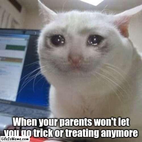 parents say i'm too old for trick or treating |  When your parents won't let you go trick or treating anymore | image tagged in crying cat,halloween | made w/ Lifeismeme meme maker