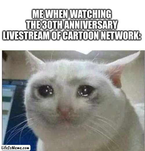 Happy 30th, CN!!! |  ME WHEN WATCHING THE 30TH ANNIVERSARY LIVESTREAM OF CARTOON NETWORK: | image tagged in crying cat | made w/ Lifeismeme meme maker