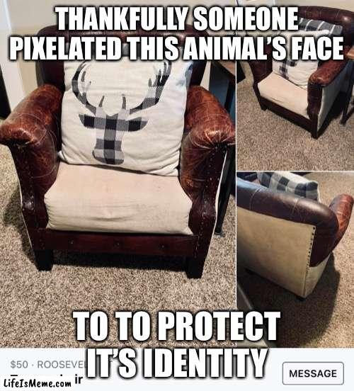 witness protection reindeer |  THANKFULLY SOMEONE PIXELATED THIS ANIMAL’S FACE; TO TO PROTECT IT’S IDENTITY | image tagged in funny,animal,pillow,hunting,design | made w/ Lifeismeme meme maker