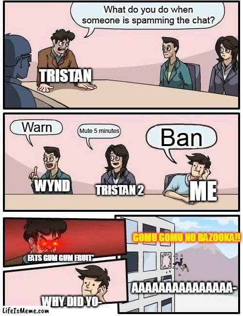 discord mods tryouts fail |  What do you do when someone is spamming the chat? TRISTAN; Warn; Mute 5 minutes; Ban; ME; WYND; TRISTAN 2; GOMU GOMU NO BAZOOKA!! EATS GUM GUM FRUIT*; AAAAAAAAAAAAAAA-; WHY DID YO- | image tagged in memes,boardroom meeting suggestion | made w/ Lifeismeme meme maker