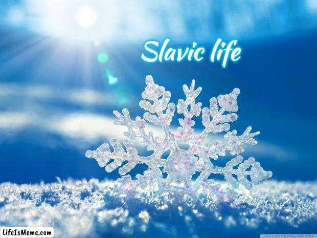 snowflake |  Slavic life | image tagged in snowflake,slavic life | made w/ Lifeismeme meme maker