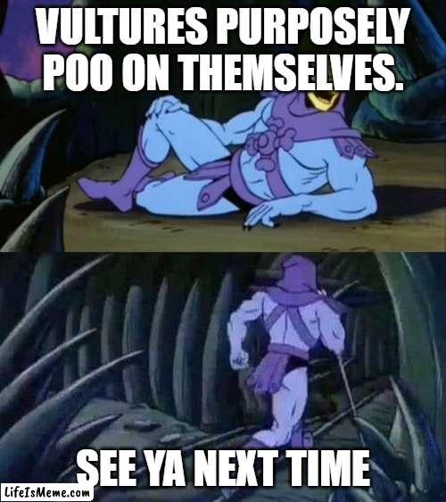 Remember 5 seconds ago when this never exists? Part 2 |  VULTURES PURPOSELY POO ON THEMSELVES. SEE YA NEXT TIME | image tagged in skeletor disturbing facts | made w/ Lifeismeme meme maker